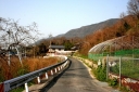 大人峠・一里塚 木原町 三原市 広島県