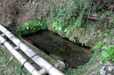 茗荷の清水 田万里町 竹原市 広島県