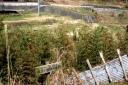風呂ヶ迫縄文遺跡 田万里町 竹原市 広島県