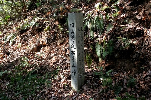 松子山峠道下り 西条町上三永 東広島市 広島県