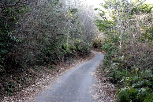 旧山陽道(飢坂） 西条町寺家 東広島市 広島県