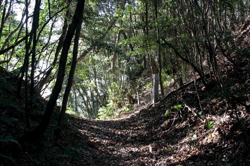 飢坂峠 西条町寺家/八本松東２丁目 東広島市 広島県