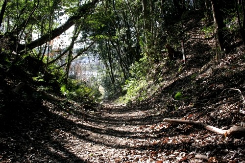 旧山陽道(飢坂)下り 八本松東2丁目 東広島市 広島県