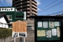 街道の松 井口３丁目 西区 広島市 広島県