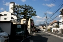 旧山陽道の松並木 楽々園 佐伯市 広島市 広島県