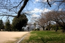 桜尾城址（桂公園） 桜尾本町 廿日市市 広島県
