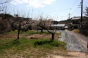 旧山陽道・十郎原 大野 廿日市市 広島県