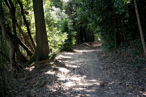 旧山陽道 大野 廿日市市 広島県