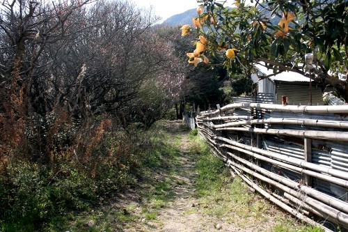 旧山陽道 宮浜温泉3丁目 廿日市市 広島県