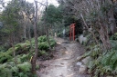 旧山陽道・残念社への道 大野 廿日市市 広島県