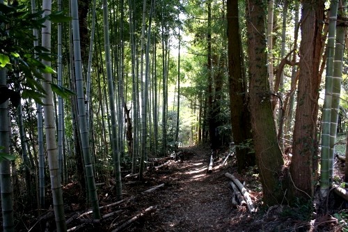 四十八坂旧道出口 大野 廿日市市 広島県