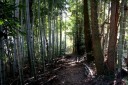四十八坂旧道出口 大野 廿日市市 広島県