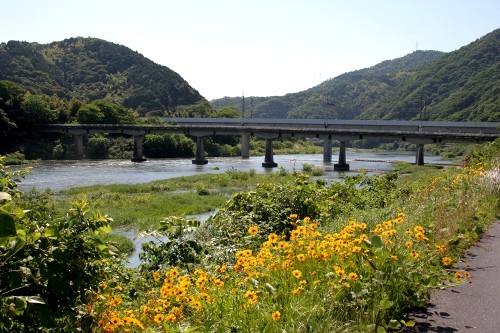 錦川・御庄橋 田原 岩国市 山口県