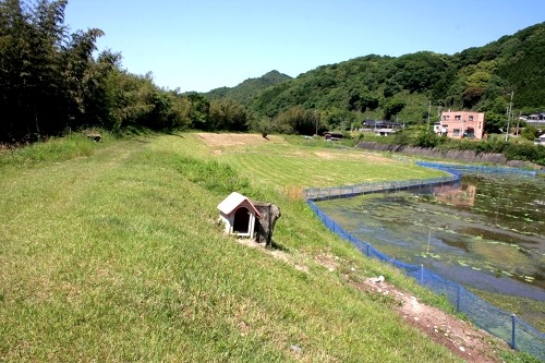 山陽道旧道 差川 周東町 岩国市 山口県
