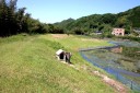 山陽道旧道 差川 周東町 岩国市 山口県