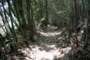 山陽道旧道 遠見 大河内 周南市 山口県