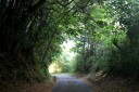 花岡勘場・お茶屋跡 山田 下松市 山口県