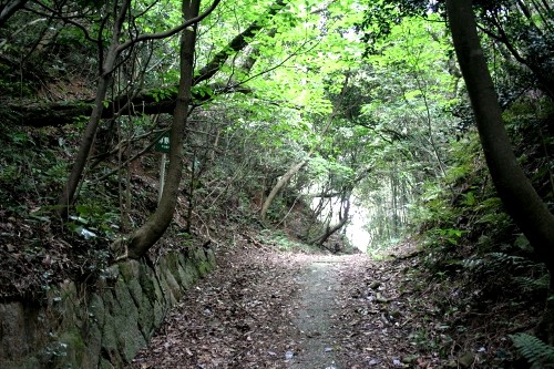 浮野峠 浮野 江泊 防府市 山口県