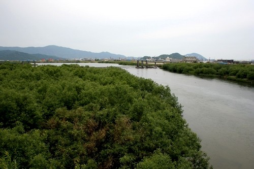 佐波川/大崎の渡し跡付近 植松/大崎 防府市 山口県
