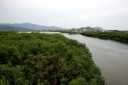 佐波川/大崎の渡し跡付近 植松/大崎 防府市 山口県