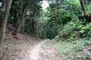佐野峠道 佐野 防府市 山口県