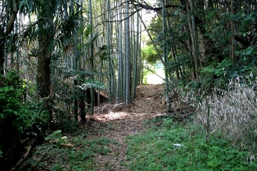 殿様道・どんだけ道 瓜生野 宇部市 山口県