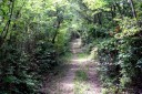 殿様道・どんだけ道 瓜生野 宇部市 山口県