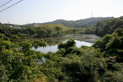 埴生田堤 厚狭 山陽小野田市 山口県