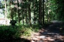 駕籠立場跡付近 山野井 山陽小野田市 山口県