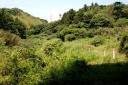 蓮台寺峠道 下福田 福田 山陽小野田市 山口県