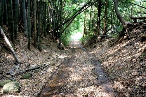 蓮台寺峠下道 吉田地方 下関市 山口県