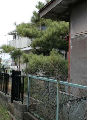 義経弓掛松跡 下田山 七宝町 海部郡 愛知県