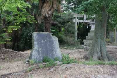 八九間空で雨降る柳かな 芭蕉