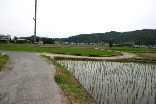 右蛇行する農道が旧道 建部日吉町 東近江市 旧御代参街道