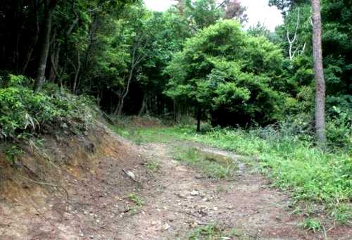 笹尾峠 日野町/土山町境界 旧御代参街道