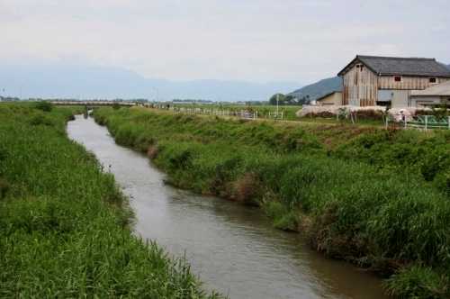 白鳥川・小船木橋 小船木町 近江八幡市