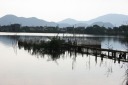 西の湖 下豊浦 安土町 蒲生郡