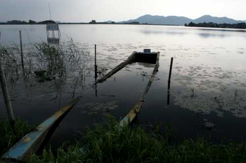 西の湖 下豊浦 安土町 蒲生郡