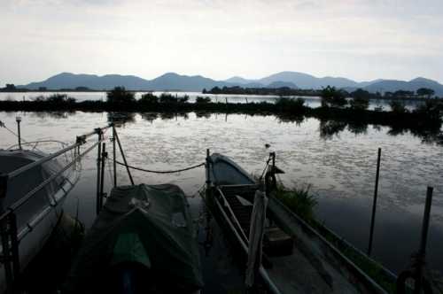 西の湖 下豊浦 安土町 蒲生郡