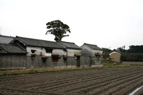 猫田 日野町 蒲生郡 滋賀