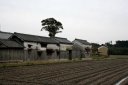 猫田 日野町 蒲生郡 滋賀