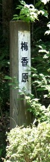 梅香原 梅ヶ原 米原市 滋賀県