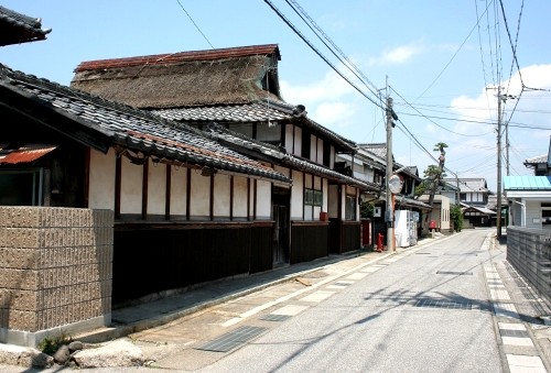 家並み・一本松 湖北町速水 長浜市 滋賀県