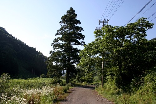 一里塚 余呉町椿坂 長浜市 滋賀県