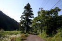 一里塚 余呉町椿坂 長浜市 滋賀県