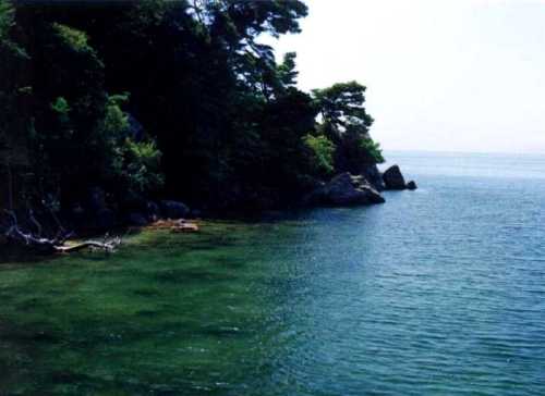 海津大崎 奥琵琶湖 滋賀
