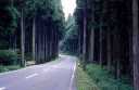 鯖街道 滋賀
