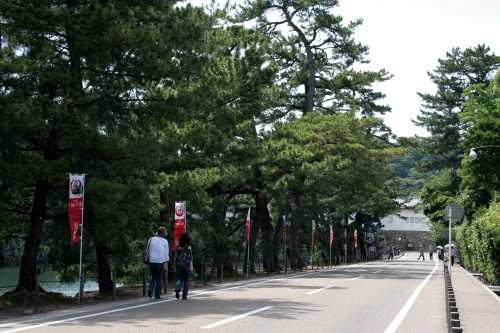 いろは松 彦根市