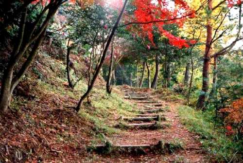 岡山城跡 水口 滋賀