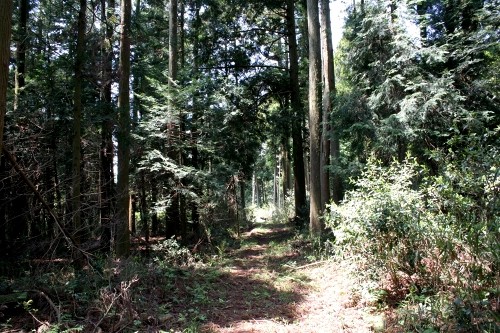 旧東山道 柏原 米原市 滋賀県